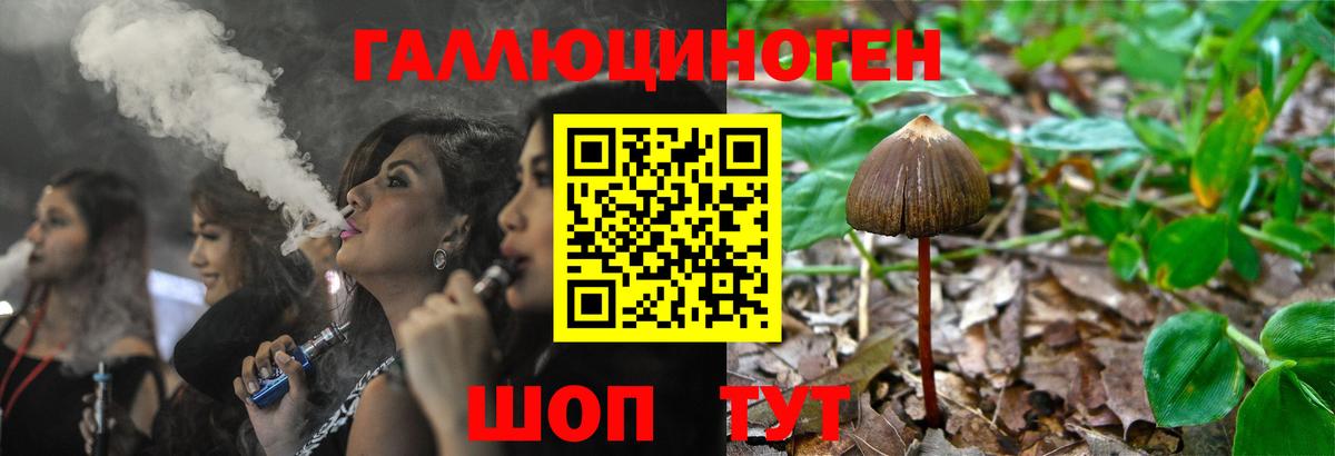 Псилоцибиновые грибы Magic Shrooms  Псилоцибиновые грибы Psilocybe  где купить наркоту  Вход с VPN  Кубинка 